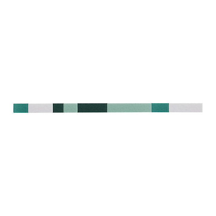 Listel Salerna vert 2 x 40 cm grés cérame émaillé