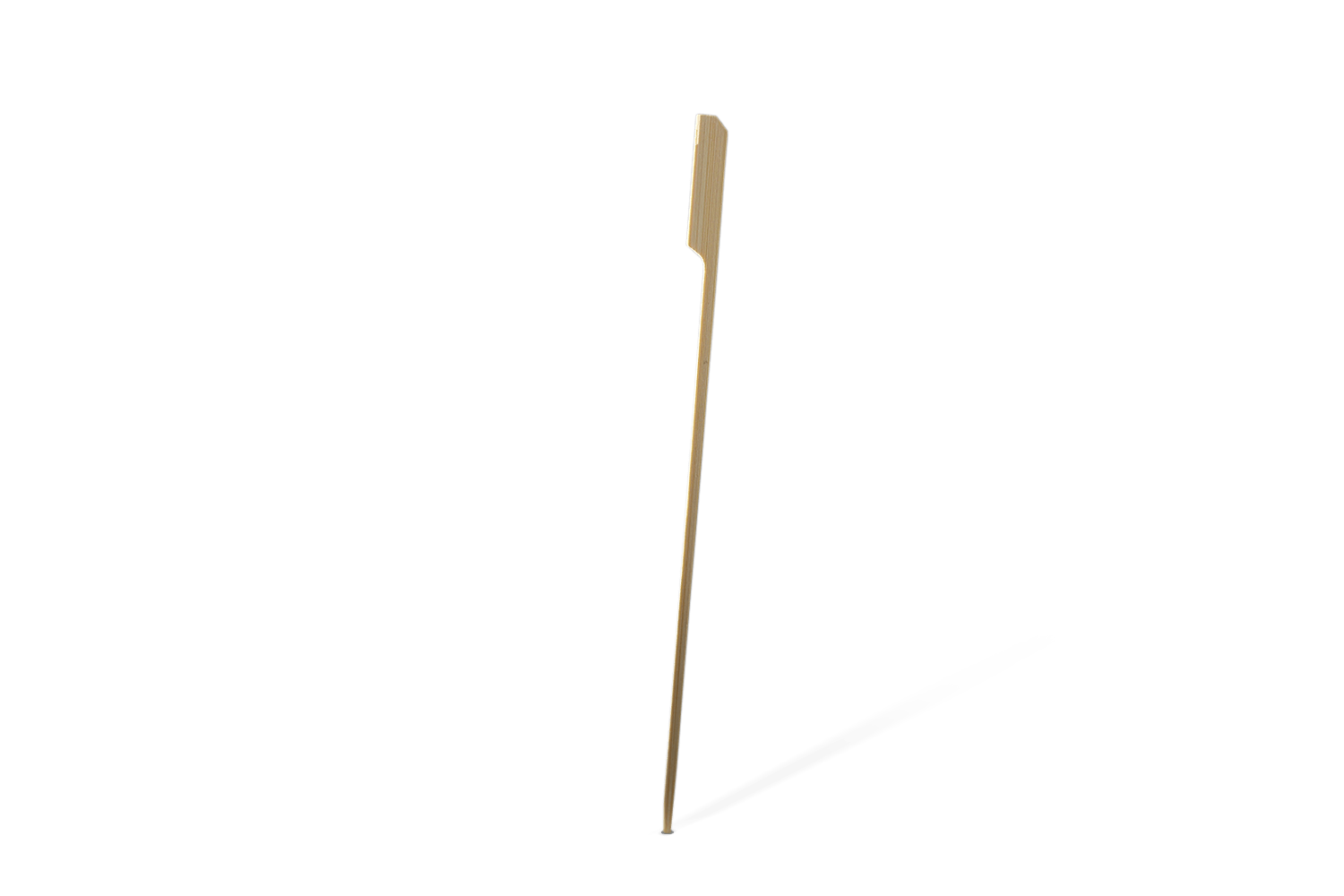 BIO Bamboe pin prikker 25cm