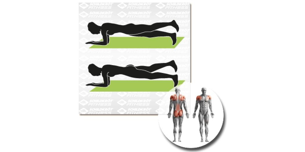 Schildkröt Fitness Fitnessmatte Grün Gymnastikmatte für das Training zu Hause