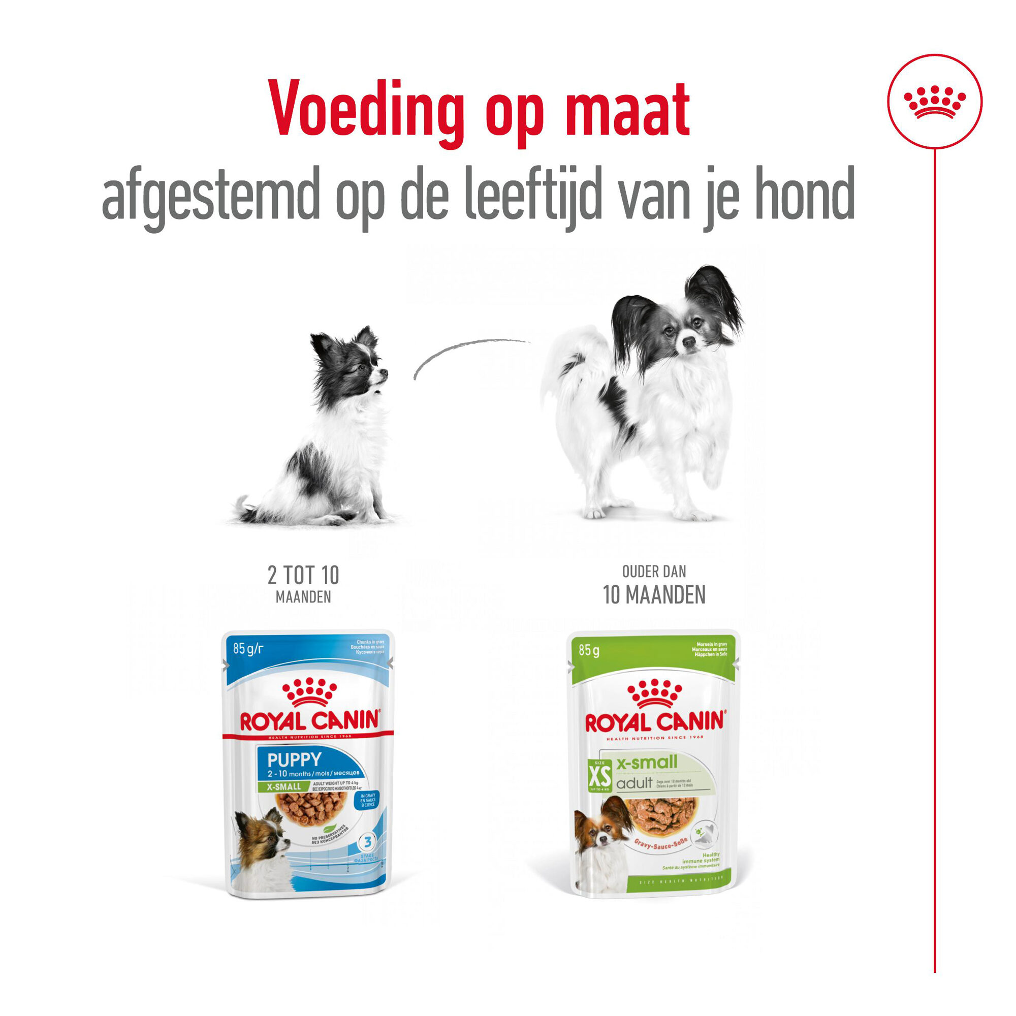 Royal Canin X-Small Adult Wet - Maaltijdzakje - Hondenvoer