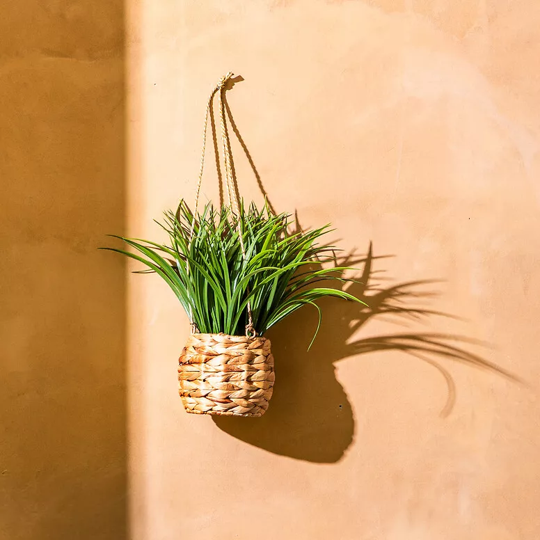 Plante artificielle suspendue dans pot tressé (H27 cm) Moda Costa