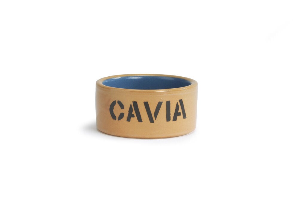 Beeztees Voer- of drinkbak Cavia - Blauw Beige - 5.5x11.5x11.5 cm