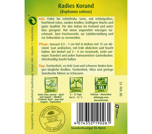 Quedlinburger Samen Radies 'Korund'