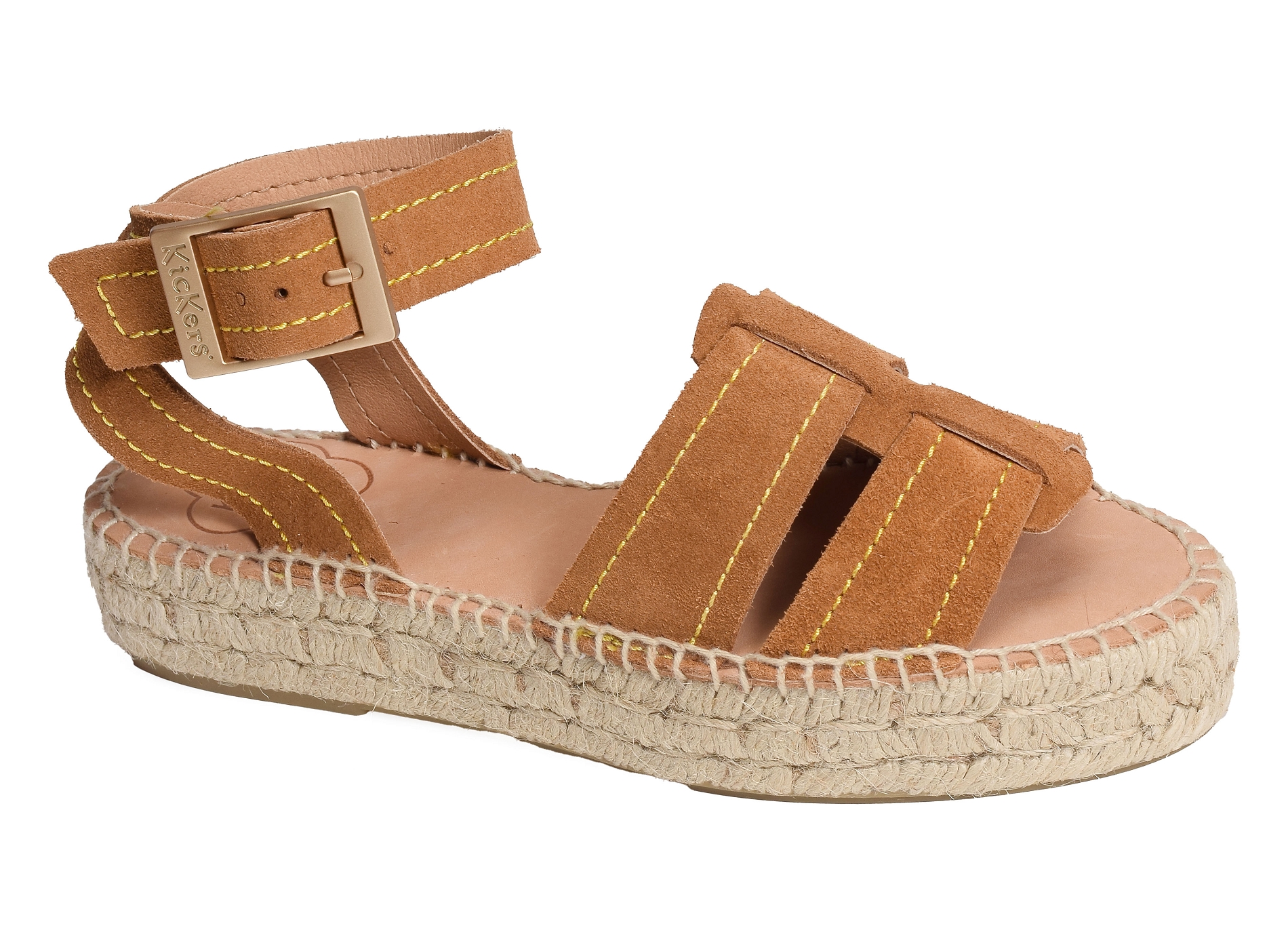 Kick parezi camel