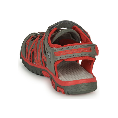 Kangaroos - Osato - Gris / Rouge