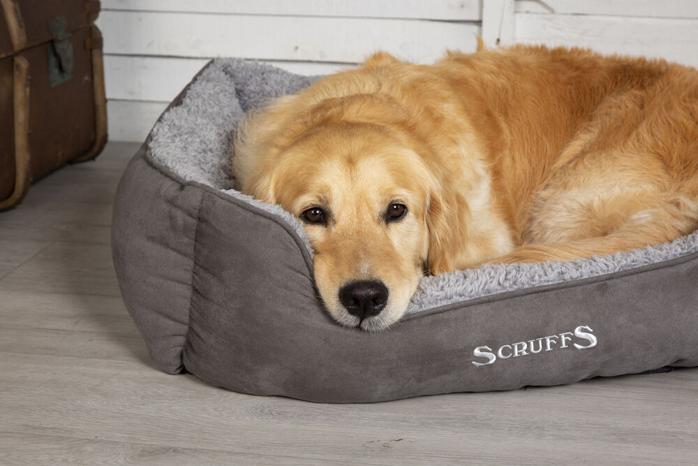 Scruffs Cosy Box Bed - Hondenmand - grijs - 1x60x75 cm - L