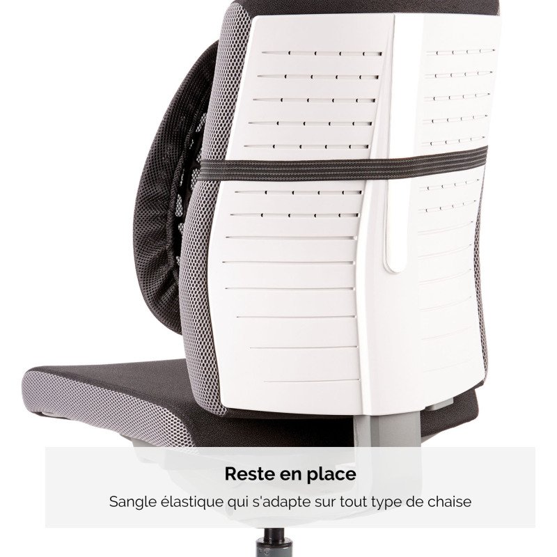 Support dorsal Angel - Fellowes