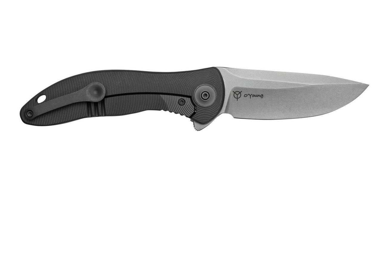 WE Knife Synergy2v2 WE18046D-1, Gray Titanium zakmes