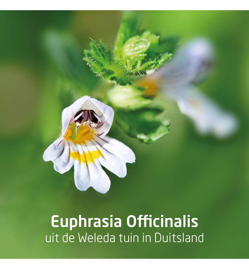 WELEDA Ogentroost oogdruppels (10 ml)