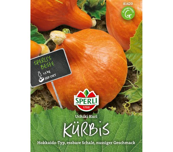 SPERLI Samen Kürbis 'Uchiki Kuri'