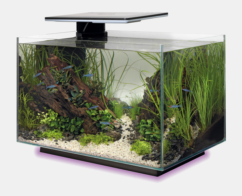 Superfish Aquarium Quadro 40 Multi Colour Zwart