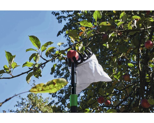 Fruitplukker voor_q set, 165 cm - 300 cm