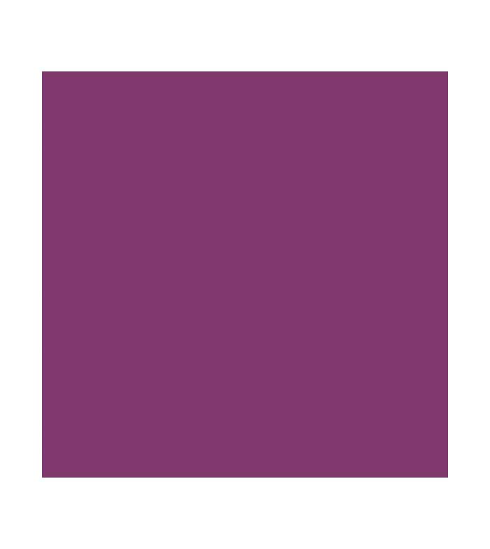 Bell - *Vegan Collagen* - Batom HypoAllergenic Plumping Color Lipstick - 05: Plum