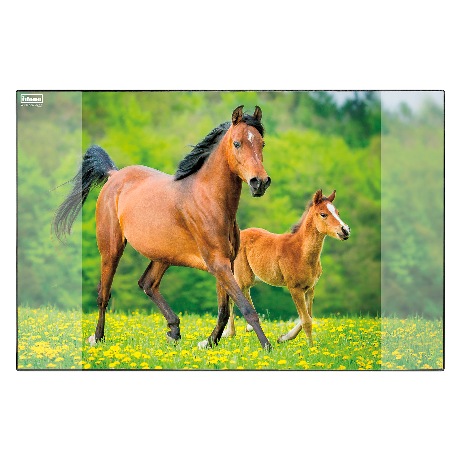 Schreibunterlage - Pferd - 59x39 cm
