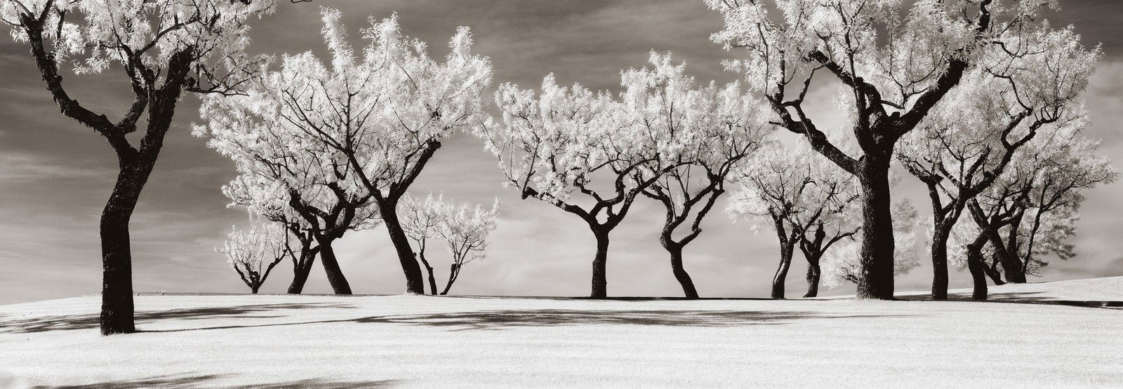 Miranda, Portugal by Helmut Hirler - Limited Edition. Edition of: 150. Signed.