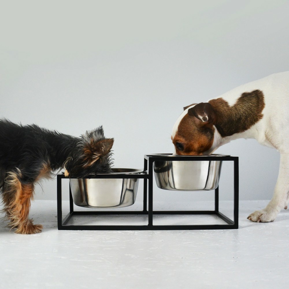 Kum - set de 2 gamelles surélevées pour chien en acier, socle filaire métal noir