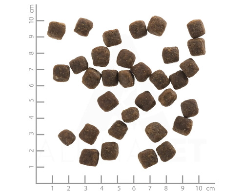 Wolfsblut Wild Duck Puppy droog hondenvoer, eend met aardappelen, met waardevolle superfoods, graanvrij, glutenvrij, 2 kg