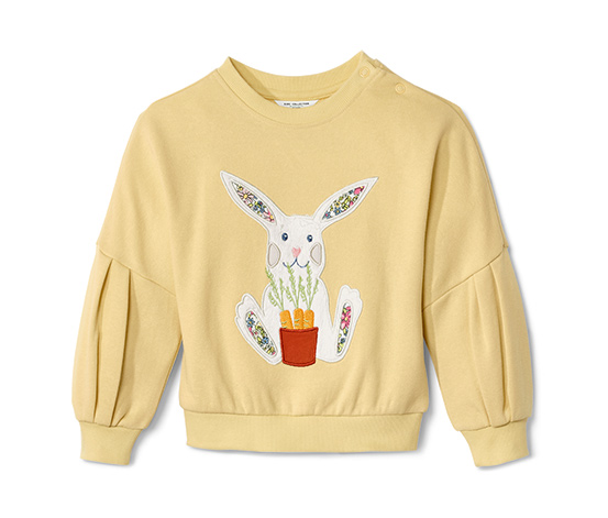 Kleinkind-Sweatshirt