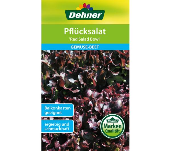 Dehner Samen Pflücksalat 'Red Salad Bowl'