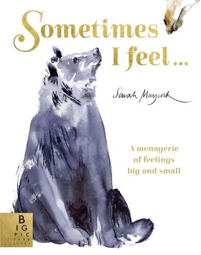 Sometimes I Feel...: A Menagerie of Feelings Big and Small (Paperback)