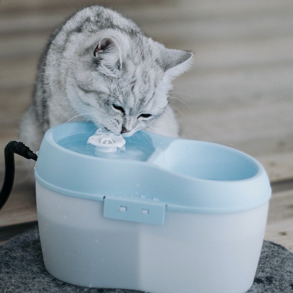 Boon katten drinkfontein CatH2O blauw 2 L