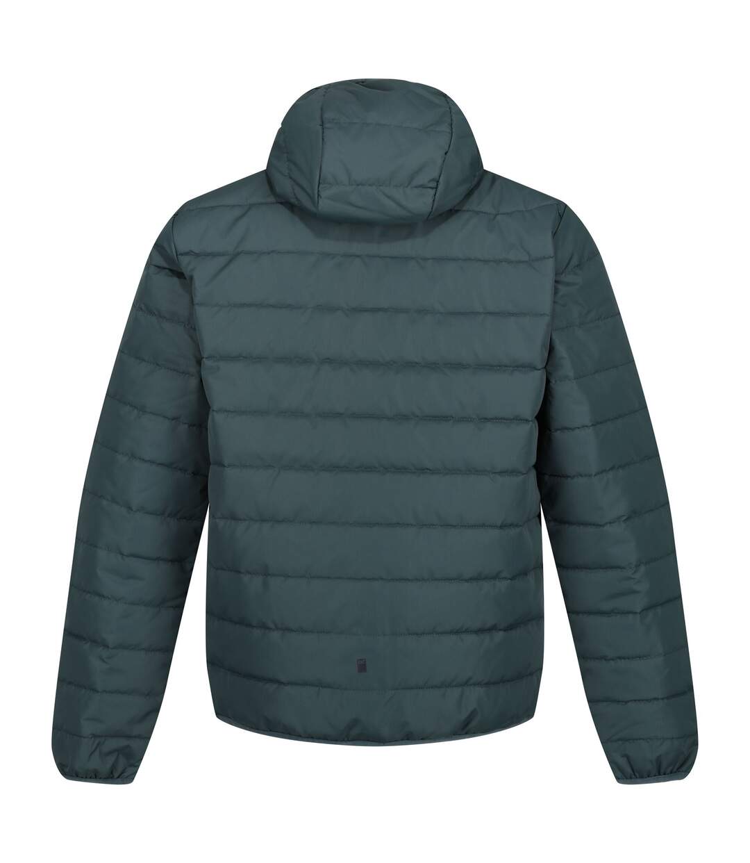 Regatta - Veste HELFA - Homme (Rouge foncé) - UTRG5549