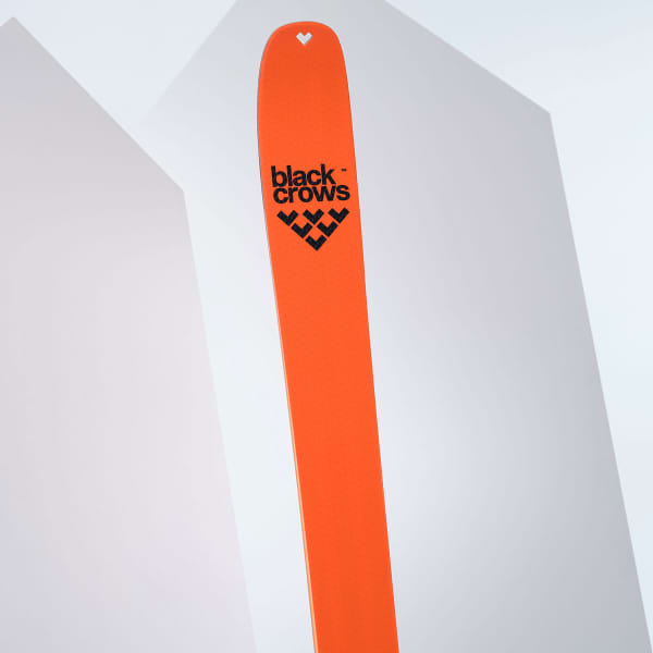 Ski de randonnée BLACK CROWS DRACO FREEBIRD
