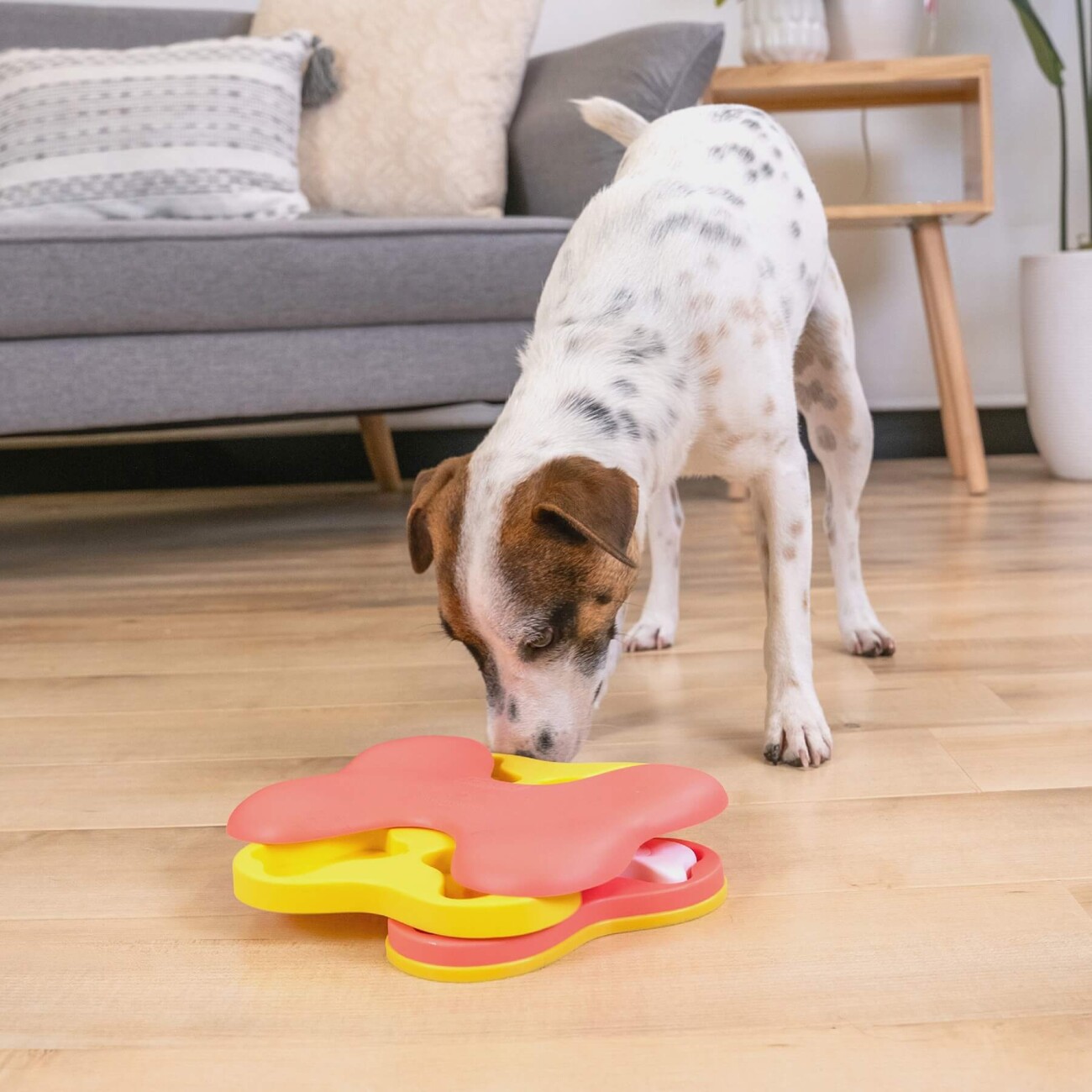 Nina Ottosson Dog Tornado Small Intelligenzspielzeug