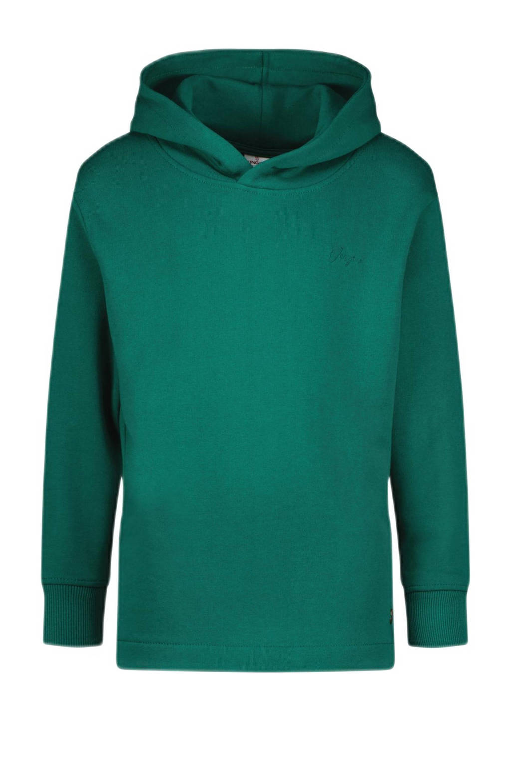 Vingino hoodie groen