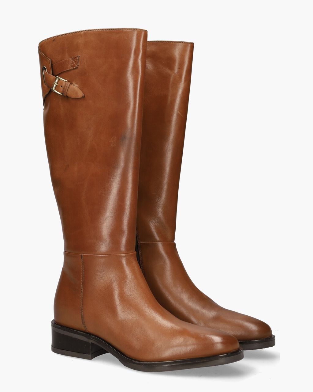 Gioia Boxer Cognac Dameslaarzen