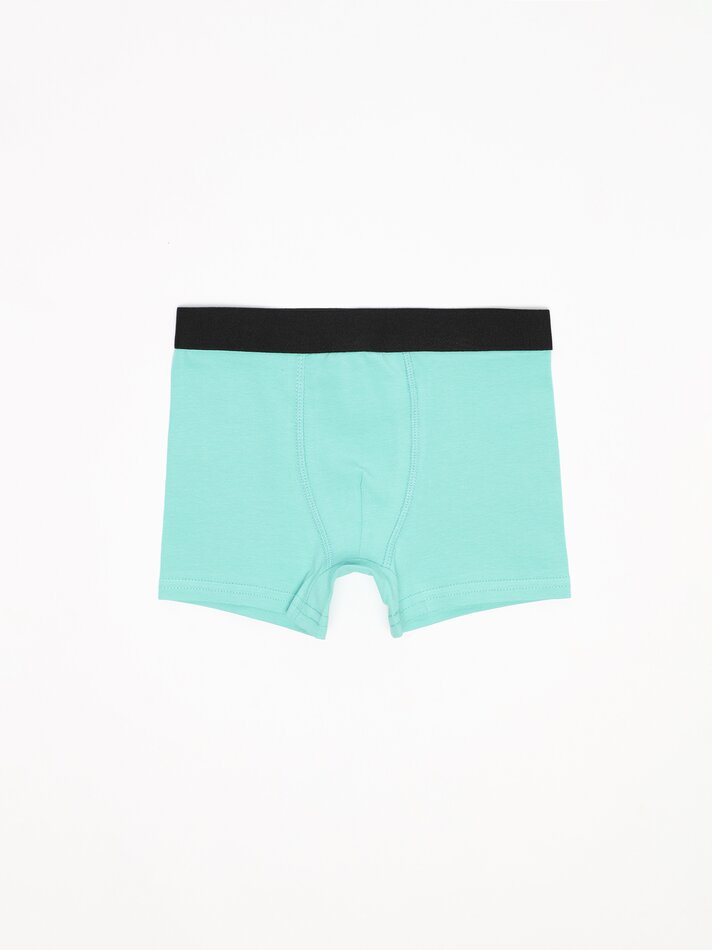 Pacote com 7 cuecas boxer básicas - Cores Variadas