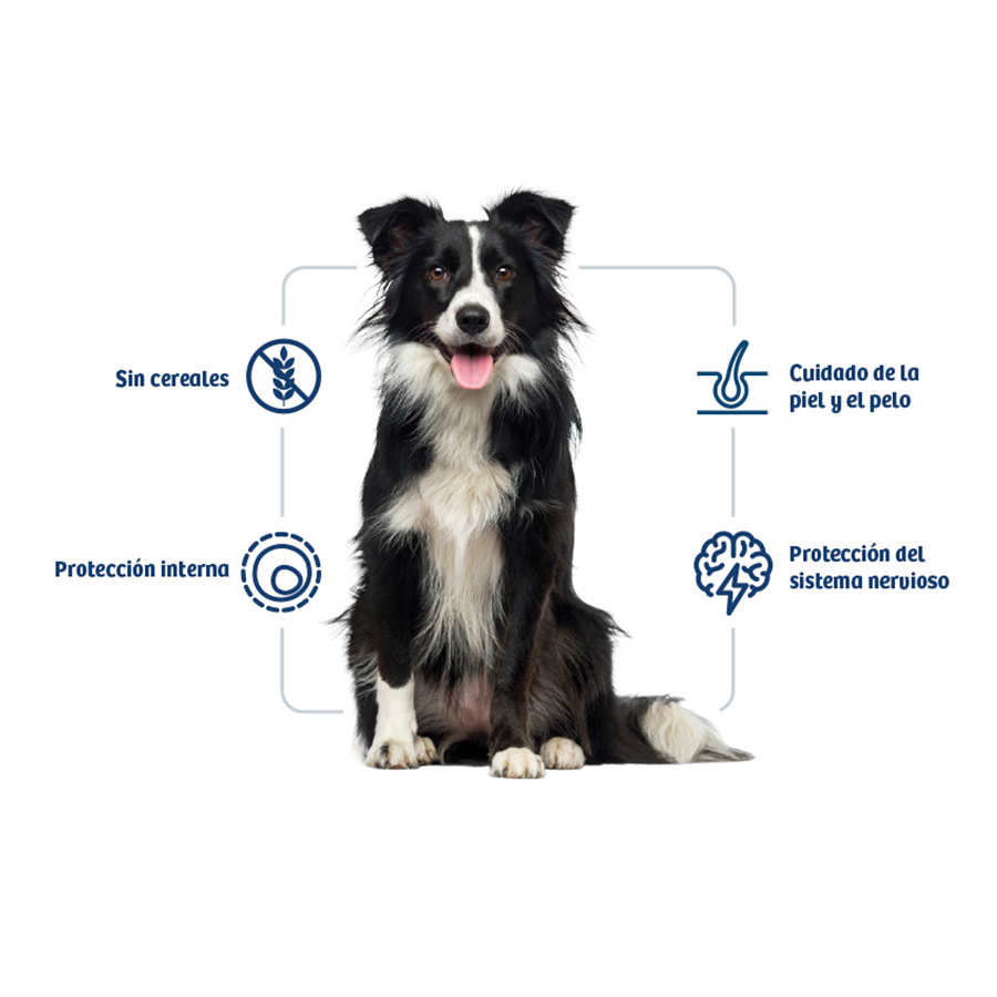 Ração para cães Nath Adult Medium Maxi Sensitive com peixe branco e salmão.