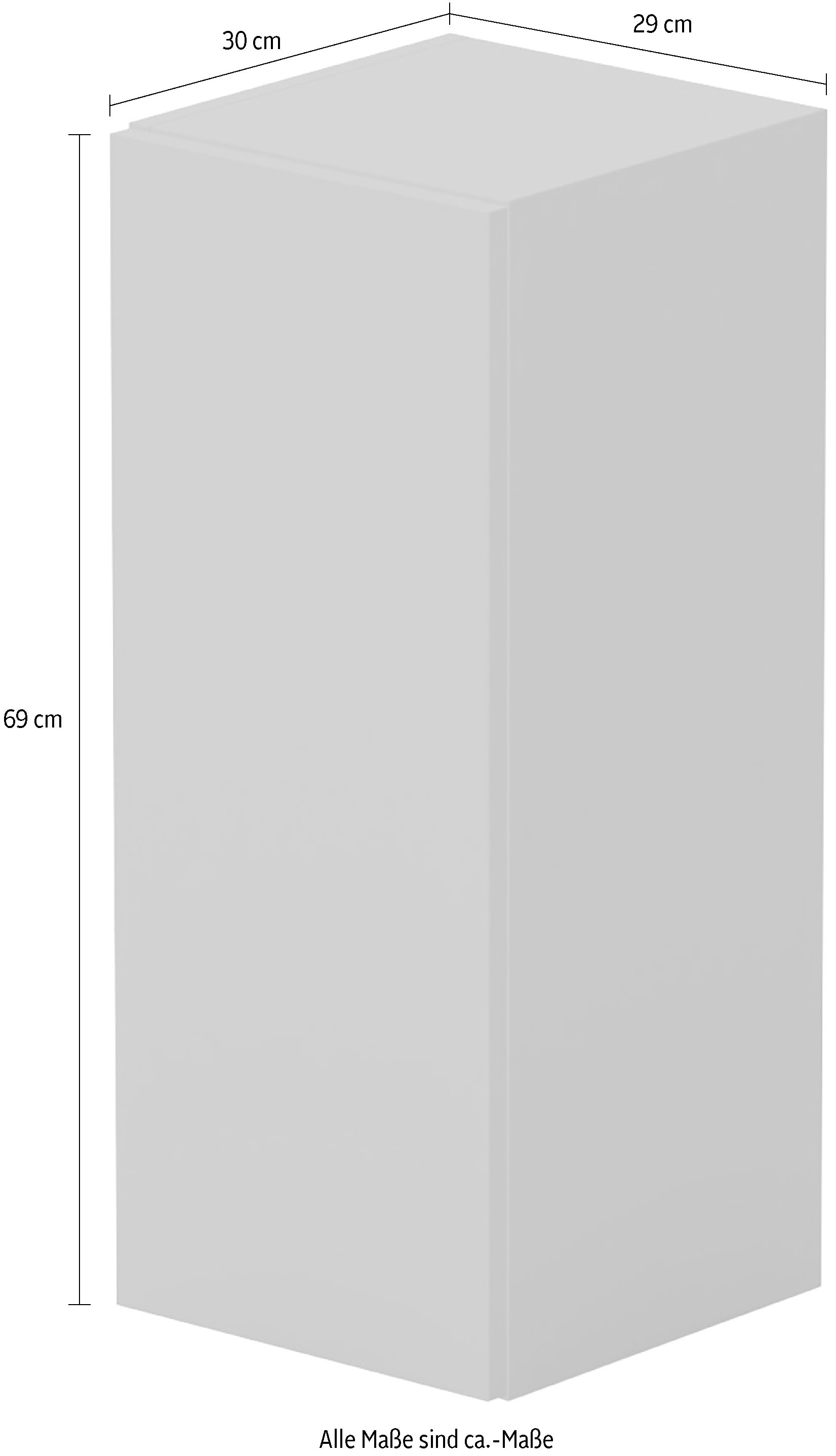 INOSIGN Mehrzweckschrank »Infinity Breite 29 cm, Höhe 69 cm, Hängeschrank mit 1 Tür,« Wandschrank senkrecht zu hängen, verschiedene Farben