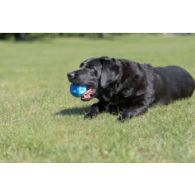 Balle rafraîchissante Trixie pour chien