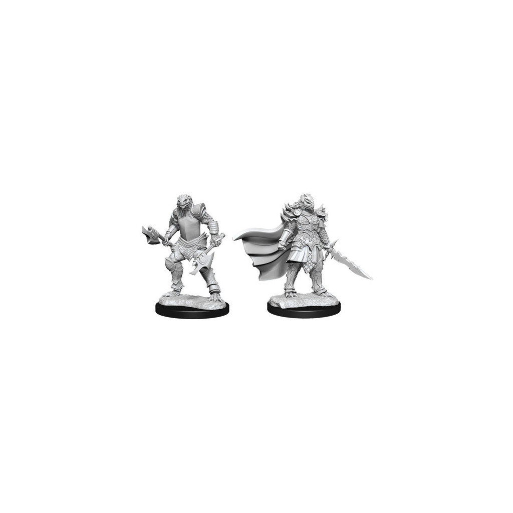 D&D Nolzur's Marvelous Unpainted Miniatures: Female Dragonborn Fighter