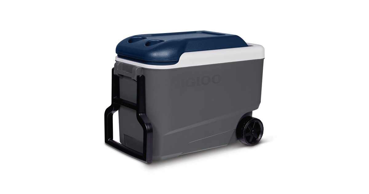 IglooMaxcold 40R, 38 liter koelbox  (Grijs)