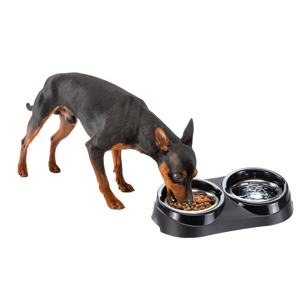 Porte-gamelle gamelles acier bord de confinement nourriture eau chien ferplast duo feed