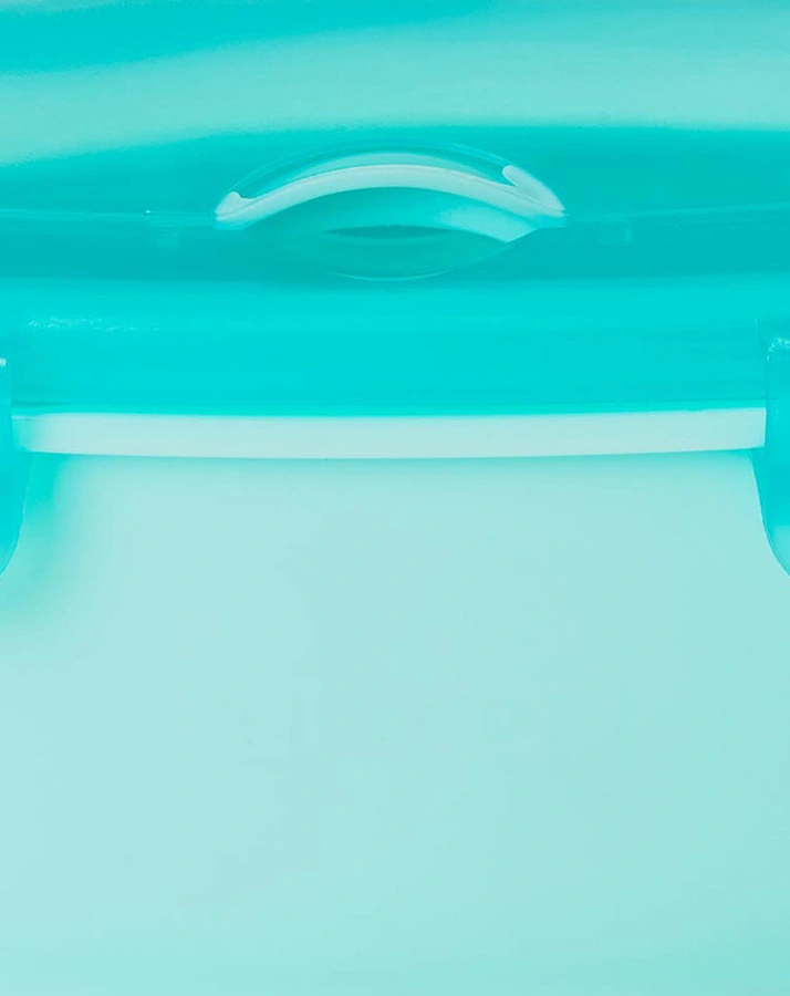 Lunchbox EASY SERVE in türkis