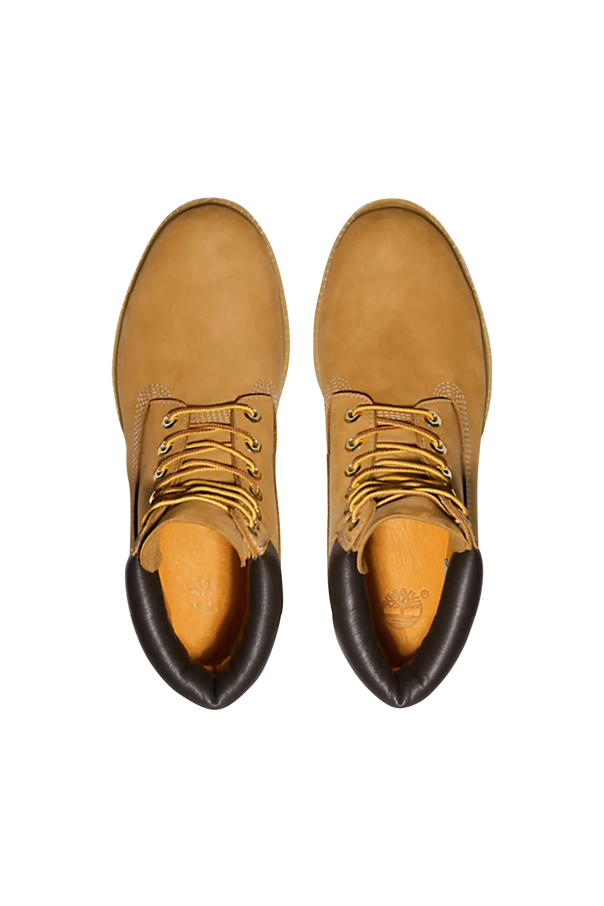 TIMBERLAND Boots  Jaune
