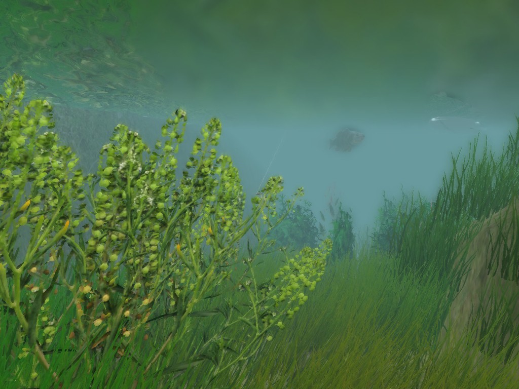 European Fishing- PC