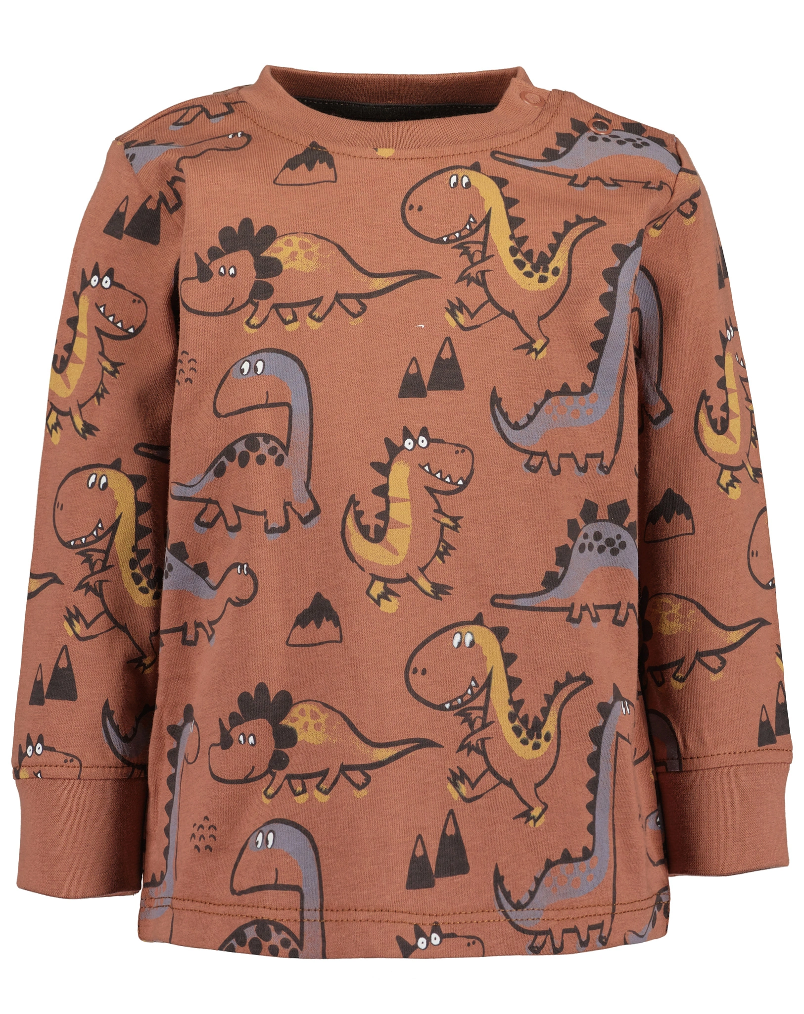 Langarmshirt CUTE DINOS AOP in kupfer