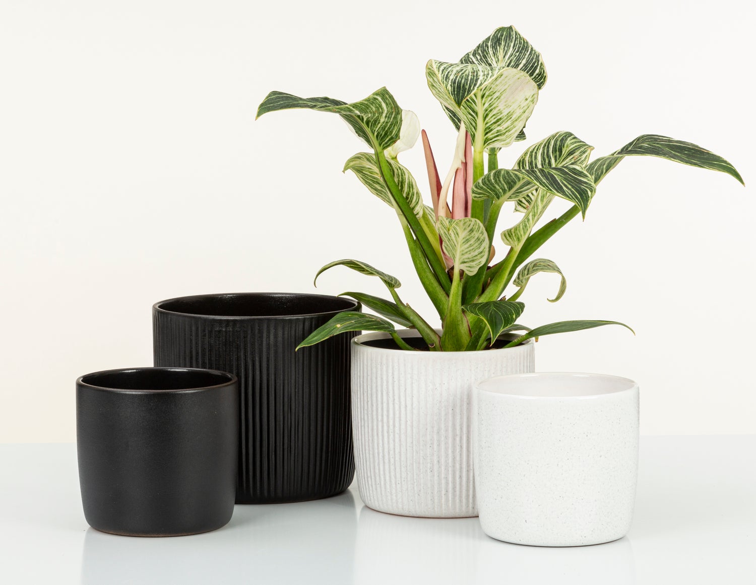 Scheurich Solido Linea, keramische bloempot, kleur: Perla, 17,6 cm diameter, 16 cm hoog, 3,1 l inhoud.