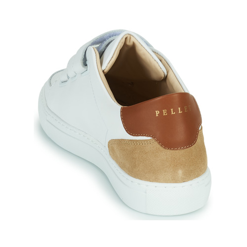 Pellet - SID - VEAU BLANC