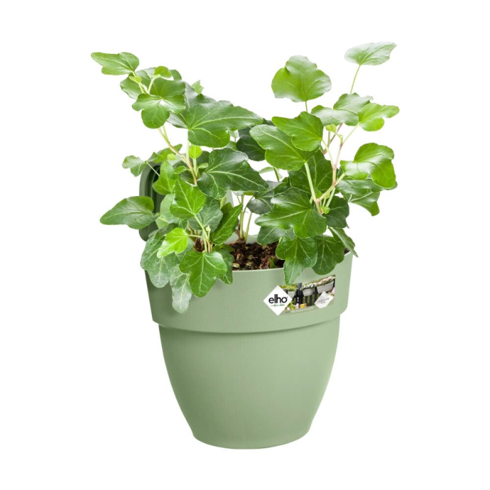 ALTANPOTTE ELHOVIBIA CAMPANA 21CM GRØNN