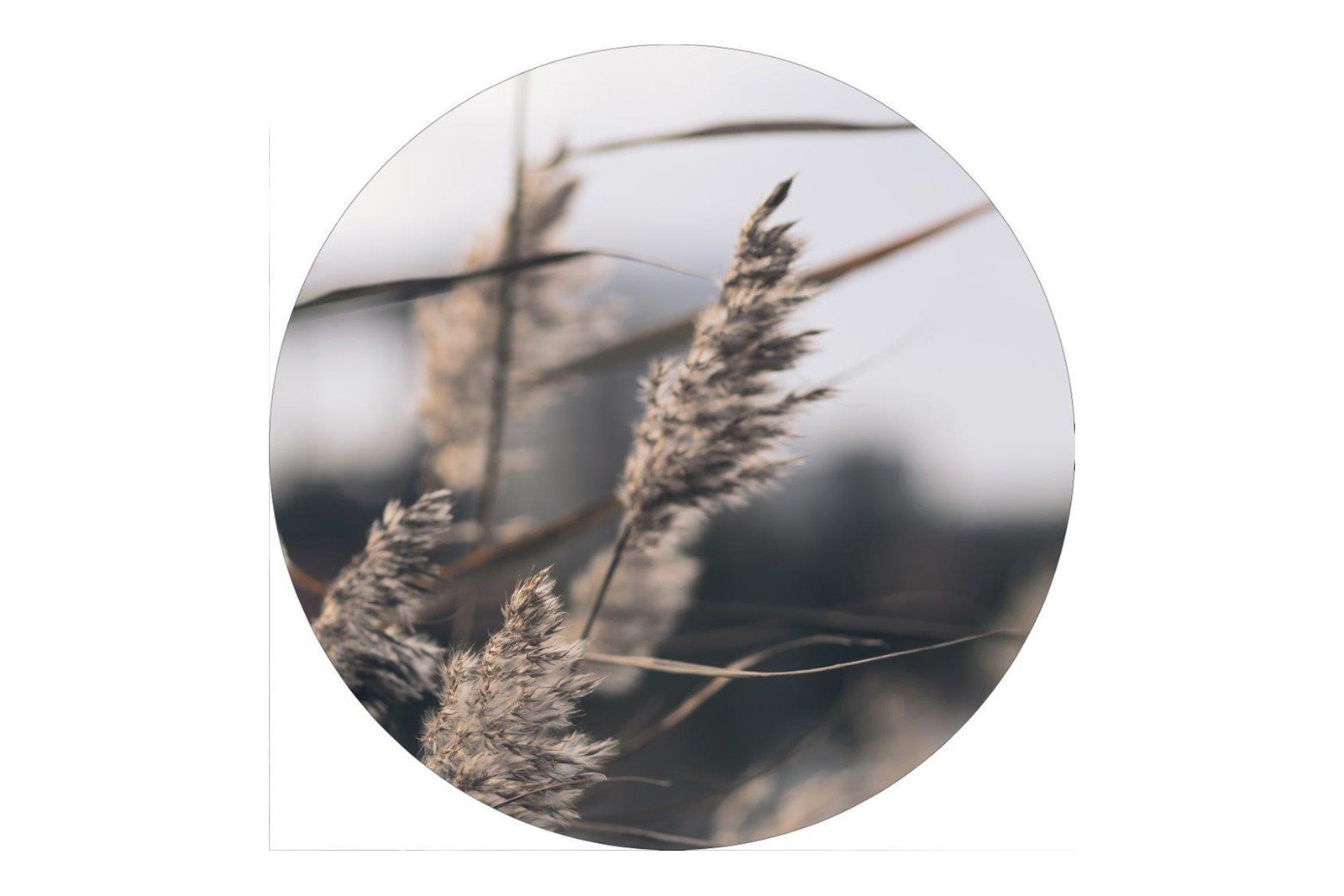 Mellow grasses 3 Ø90 cm