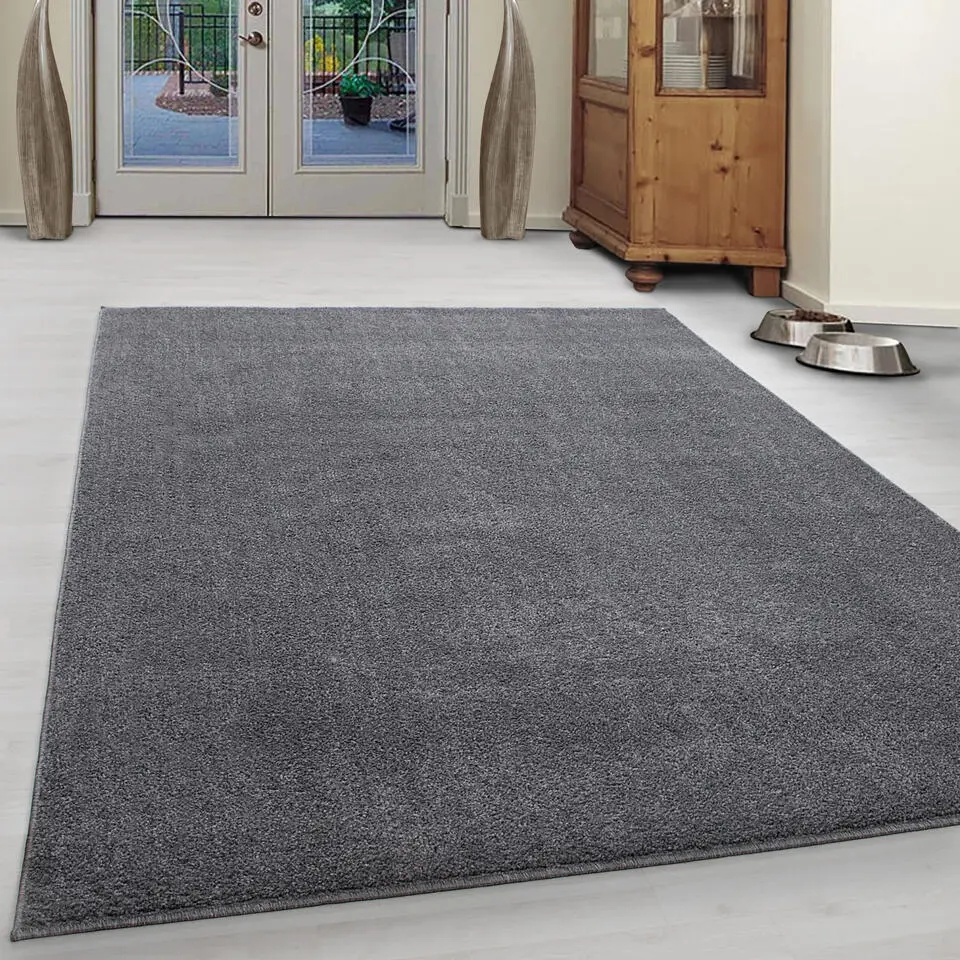 Basics Effen Vloerkleed Lichtgrijs Laagpolig - 160x230 CM