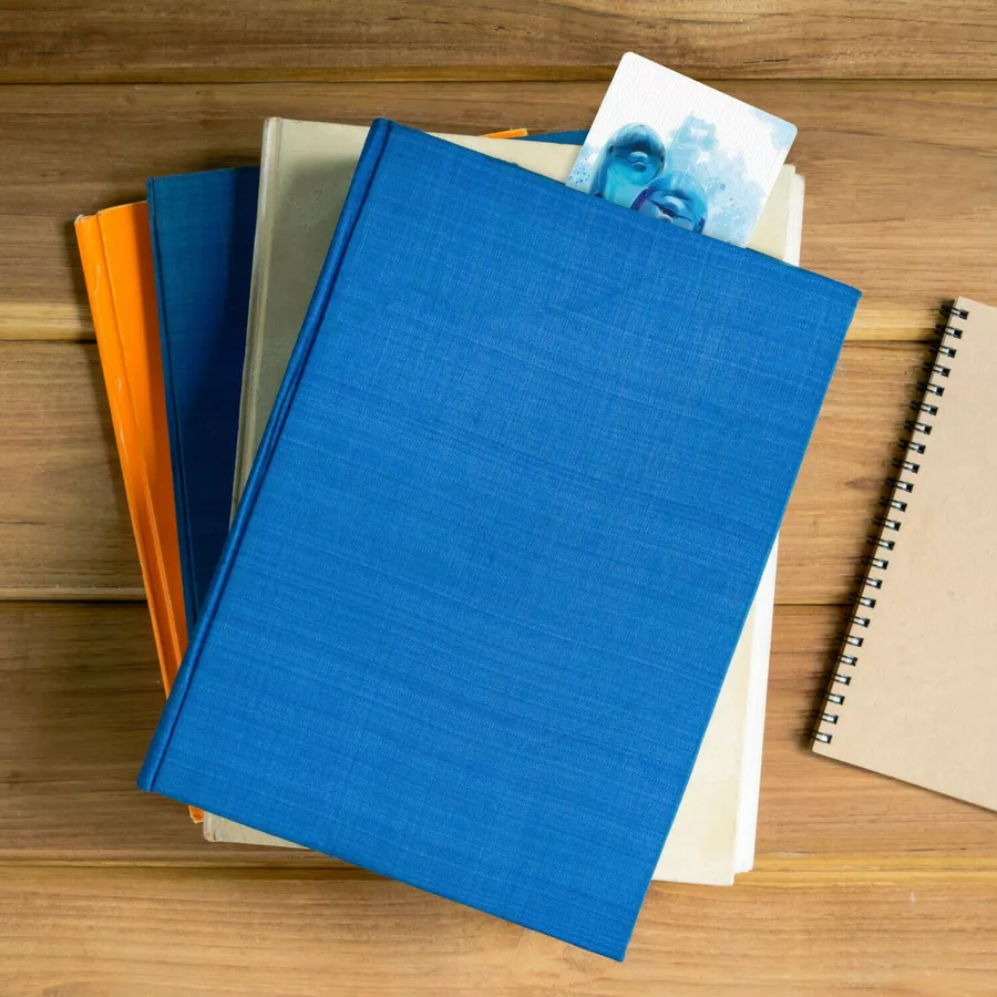 Nikima Lesepass Delfin Lesezeichen zum lesen üben Grundschule 10-100 Stück 50 Stück