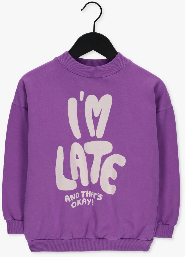 L\u00D6TIEKIDS paarse l&ouml;tiekids sweater w22-85-26