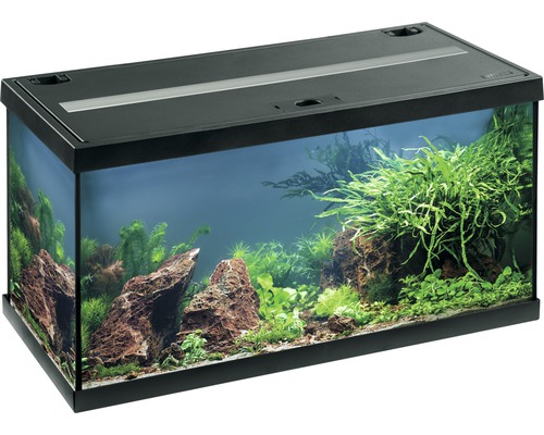 EHEIM aquastar 54 aquariumset met LED-verlichting, binnenfilter, verwarming, thermometer (zonder kast), zwart, ca. 54 L, 60 x 30 x 30 cm