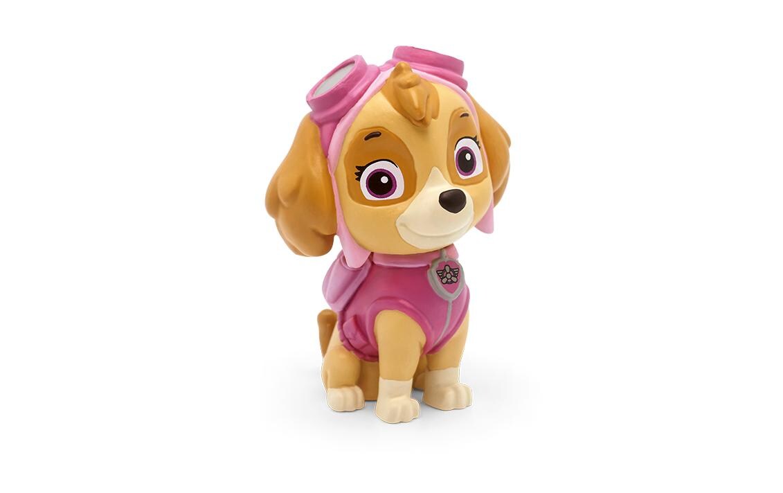 Hörbuch Paw Patrol – Der Delfin-Freund -DE-Hörspiel